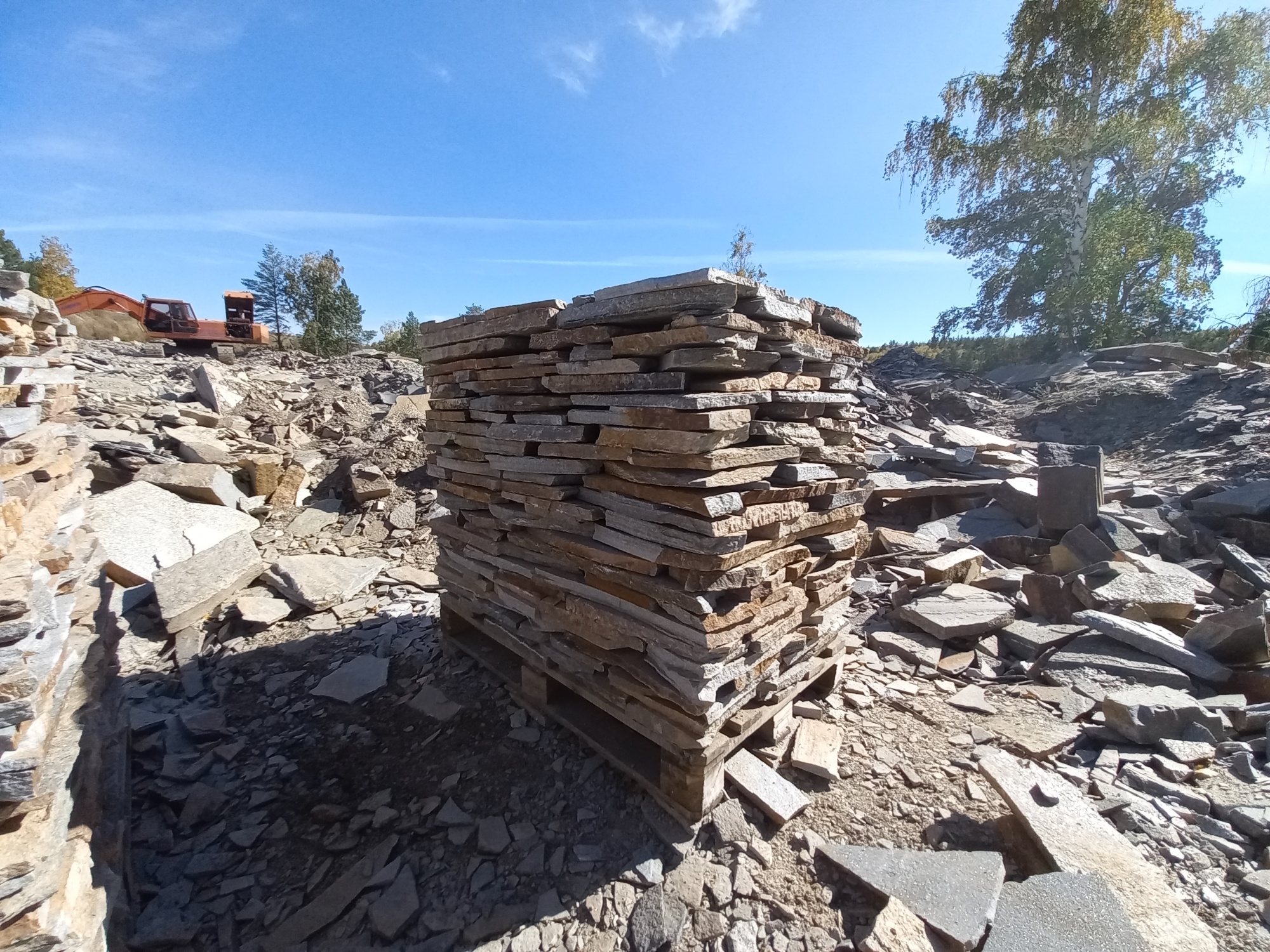 Плитняк златолит серебристый для мощения на бетон купить в Александровске